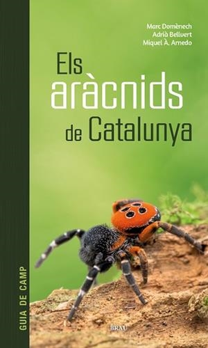 ARÀCNIDS DE CATALUNYA, ELS | 9788418096686 | DOMÈNECH ANDREU, MARC/BELLVERT BANTÍ, ADRIÀ/ARNEDO LOMBARTE, MIQUEL ÀNGEL | Llibreria Aqualata | Comprar libros en catalán y castellano online | Comprar libros Igualada