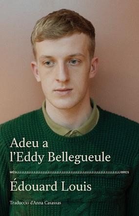 ADEU A L'EDDY BELLEGUEULE | 9788417353544 | LOUIS, ÉDOUARD  | Llibreria Aqualata | Comprar llibres en català i castellà online | Comprar llibres Igualada