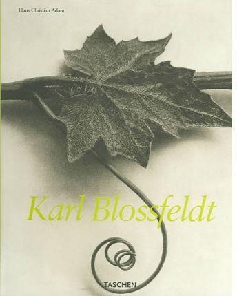 KARL BLOSSFELDT (FLEXI COVER) | 9783822834824 | ADAM,H.C. | Llibreria Aqualata | Comprar libros en catalán y castellano online | Comprar libros Igualada