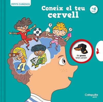 PETITS CURIOSOS: CONEIX EL TEU CERVELL | 9788419987068 | HOUDÉ, OLIVIER / BORST, GRÉGOIRE | Llibreria Aqualata | Comprar libros en catalán y castellano online | Comprar libros Igualada