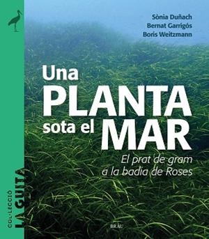 UNA PLANTA SOTA EL MAR | 9788418096747 | DUÑACH, SÒNIA / GARRIGÓS, BERNAT / WEITZMANN, BORIS | Llibreria Aqualata | Comprar llibres en català i castellà online | Comprar llibres Igualada