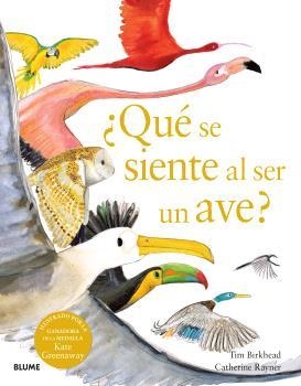 ¿QUÉ SE SIENTE AL SER UN AVE? | 9788410048096 | BIRKHEAD, TIM / RAYNER, CATHERINE | Llibreria Aqualata | Comprar libros en catalán y castellano online | Comprar libros Igualada