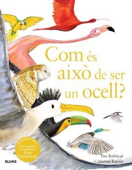 COM ÉS AIXÒ DE SER UN OCELL? | 9788410048102 | BIRKHEAD, TIM / RAYNER, CATHERINE | Llibreria Aqualata | Comprar libros en catalán y castellano online | Comprar libros Igualada