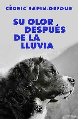 SU OLOR DESPUÉS DE LA LLUVIA | 9788466678766 | SAPIN-DEFOUR, CÉDRIC | Llibreria Aqualata | Comprar libros en catalán y castellano online | Comprar libros Igualada