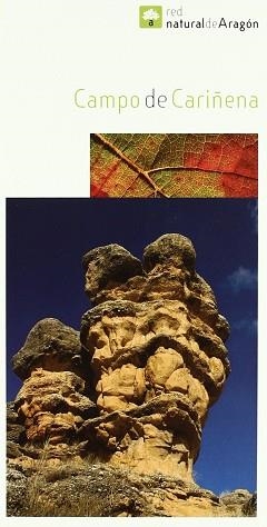 CAMPO DE CARIÑENA. INCLUYE MAPA, ESCALA 1:125.000 | 9788483218259 | TALLADA MUÑOZ, FERNANDOCOORD. | Llibreria Aqualata | Comprar libros en catalán y castellano online | Comprar libros Igualada