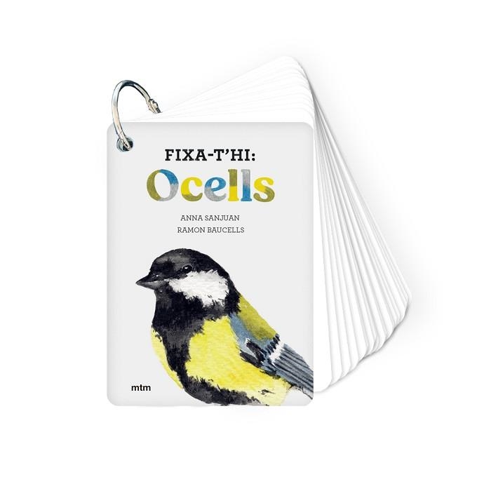 FIXA-T'HI: OCELLS | 9788417165826 | Llibreria Aqualata | Comprar libros en catalán y castellano online | Comprar libros Igualada