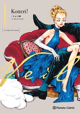 VEIL 1 | 9788411611244 | KOTTERI | Llibreria Aqualata | Comprar libros en catalán y castellano online | Comprar libros Igualada