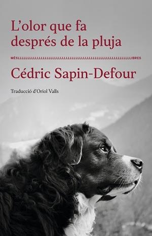 OLOR QUE FA DESPRÉS DE LA PLUJA, L' | 9788417353568 | SAPIN-DEFOUR, CÉDRIC | Llibreria Aqualata | Comprar llibres en català i castellà online | Comprar llibres Igualada