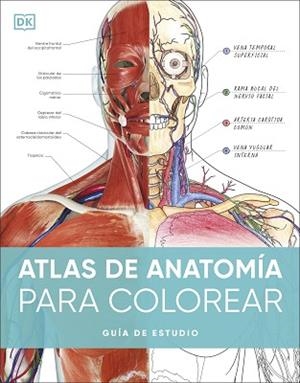 ATLAS DE ANATOMÍA PARA COLOREAR | 9780241703090 | DK | Llibreria Aqualata | Comprar libros en catalán y castellano online | Comprar libros Igualada