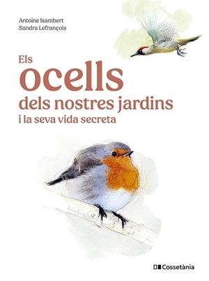 OCELLS DELS NOSTRES JARDINS I LA SEVA VIDA SECRETA, ELS | 9788413563626 | ISAMBERT, ANTOINE | Llibreria Aqualata | Comprar libros en catalán y castellano online | Comprar libros Igualada