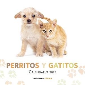 2025 CALENDARIO PERRITOS Y GATITOS | 9788448041632 | AA. VV. | Llibreria Aqualata | Comprar llibres en català i castellà online | Comprar llibres Igualada