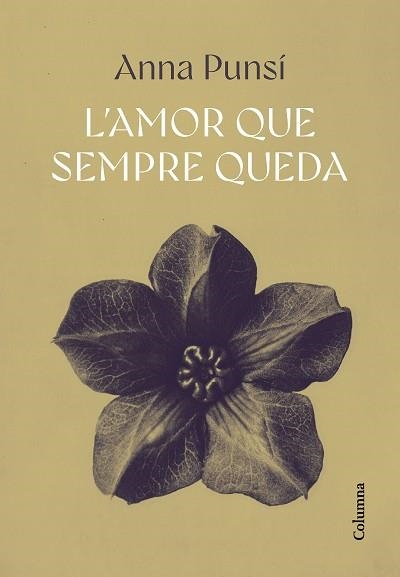 AMOR QUE SEMPRE QUEDA, L' | 9788466432382 | PUNSÍ LLADÓ, ANNA | Llibreria Aqualata | Comprar libros en catalán y castellano online | Comprar libros Igualada