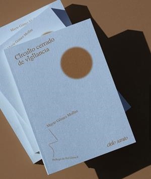 CIRCUITO CERRADO DE VIGILANCIA | 9788412743890 | GÓMEZ MOLINA, MAYTE | Llibreria Aqualata | Comprar llibres en català i castellà online | Comprar llibres Igualada