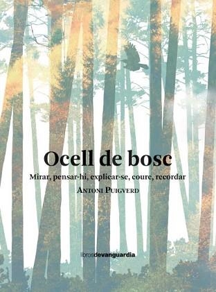 OCELL DE BOSC | 9788418604461 | PUIGVERD, ANTONI | Llibreria Aqualata | Comprar libros en catalán y castellano online | Comprar libros Igualada