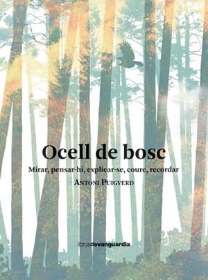OCELL DE BOSC | 9788418604461 | PUIGVERD, ANTONI | Llibreria Aqualata | Comprar llibres en català i castellà online | Comprar llibres Igualada
