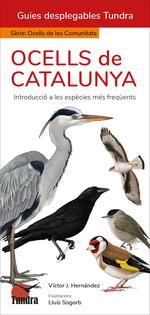 OCELLS DE CATALUNYA | 9788419624864 | HERNANDEZ, VICTOR J | Llibreria Aqualata | Comprar llibres en català i castellà online | Comprar llibres Igualada