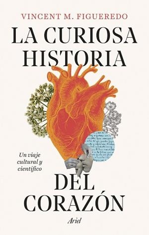 CURIOSA HISTORIA DEL CORAZÓN, LA | 9788434438392 | FIGUEREDO, VINCENT M. | Llibreria Aqualata | Comprar llibres en català i castellà online | Comprar llibres Igualada