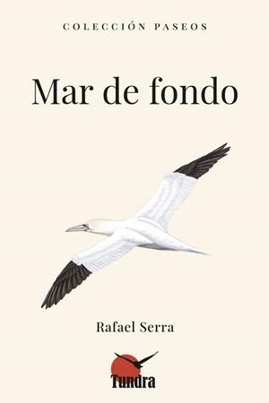 MAR DE FONDO | 9788419624857 | SERRA, RAFAEL | Llibreria Aqualata | Comprar libros en catalán y castellano online | Comprar libros Igualada