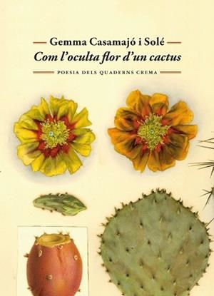COM L'OCULTA FLOR D'UN CACTUS | 9788477277071 | CASAMAJÓ I SOLÉ, GEMMA | Llibreria Aqualata | Comprar llibres en català i castellà online | Comprar llibres Igualada