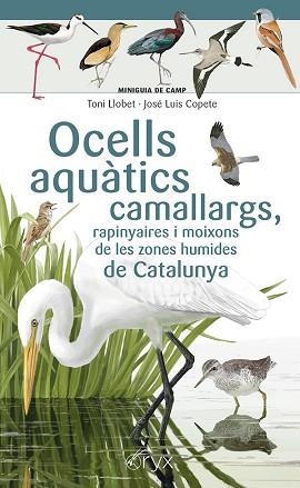 OCELLS AQUÀTICS CAMALLARGS, RAPINYAIRES I MOIXONS DE LES ZONES HUMIDES DE CATALUNYA | 9788413564746 | COPETE, JOSÉ LUIS | Llibreria Aqualata | Comprar libros en catalán y castellano online | Comprar libros Igualada