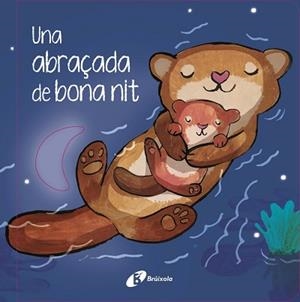 UNA ABRAÇADA DE BONA NIT | 9788413494319 | HEGARTY, PATRICIA | Llibreria Aqualata | Comprar llibres en català i castellà online | Comprar llibres Igualada