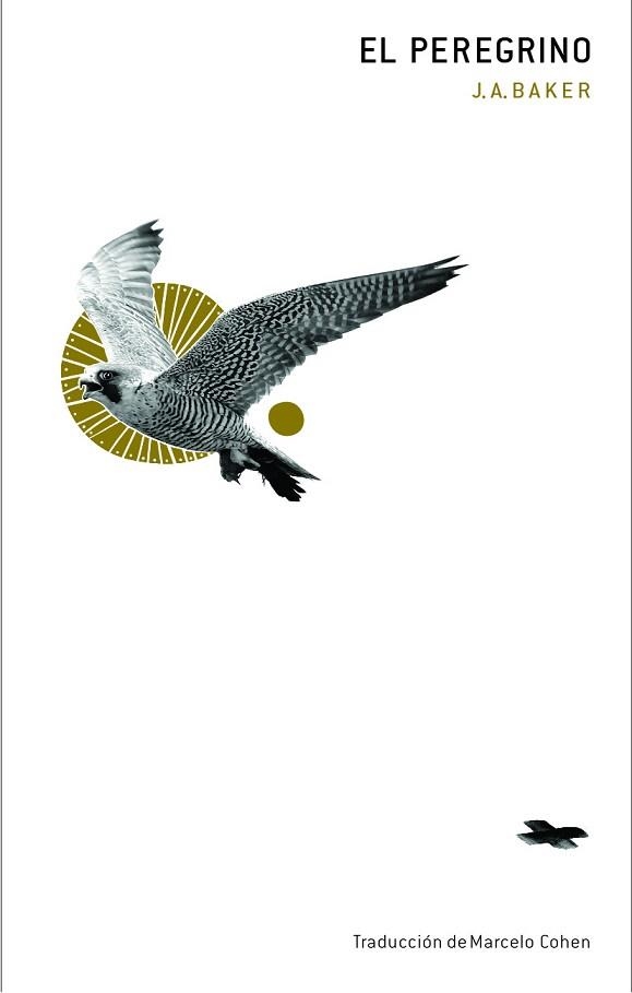 PEREGRINO, EL | 9788412816020 | BAKER, J.A. | Llibreria Aqualata | Comprar llibres en català i castellà online | Comprar llibres Igualada