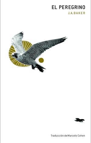 PEREGRINO, EL | 9788412816020 | BAKER, J.A. | Llibreria Aqualata | Comprar llibres en català i castellà online | Comprar llibres Igualada