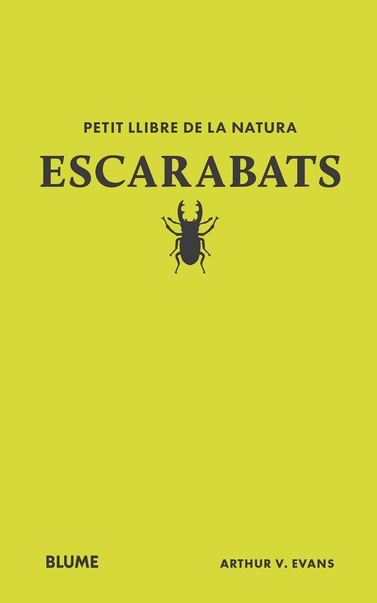 ESCARBATS. PETIT LLIBRE DE LA NATURA | 9788410268746 | EVANS, ARTHUR V | Llibreria Aqualata | Comprar llibres en català i castellà online | Comprar llibres Igualada