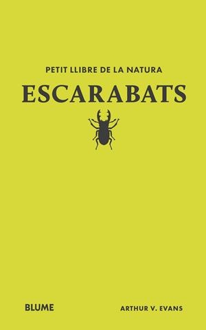 ESCARBATS. PETIT LLIBRE DE LA NATURA | 9788410268746 | EVANS, ARTHUR V | Llibreria Aqualata | Comprar libros en catalán y castellano online | Comprar libros Igualada