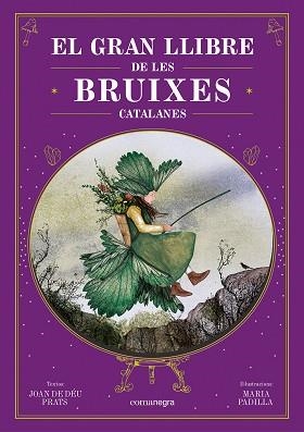 GRAN LLIBRE DE LES BRUIXES CATALANES, EL | 9788410161337 | PRATS, JOAN DE DÉU / PADILLA, MARIA | Llibreria Aqualata | Comprar llibres en català i castellà online | Comprar llibres Igualada