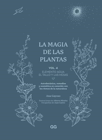 MAGIA DE LAS PLANTAS, LA | 9788425235641 | GAYOSO, ANA | Llibreria Aqualata | Comprar libros en catalán y castellano online | Comprar libros Igualada