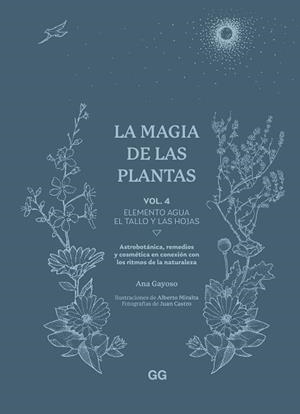 MAGIA DE LAS PLANTAS, LA | 9788425235641 | GAYOSO, ANA | Llibreria Aqualata | Comprar llibres en català i castellà online | Comprar llibres Igualada