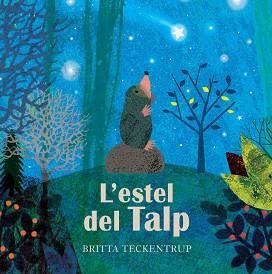 ESTEL DEL TALP, L' | 9788417123666 | TECKENTRUP, BRITTA | Llibreria Aqualata | Comprar libros en catalán y castellano online | Comprar libros Igualada