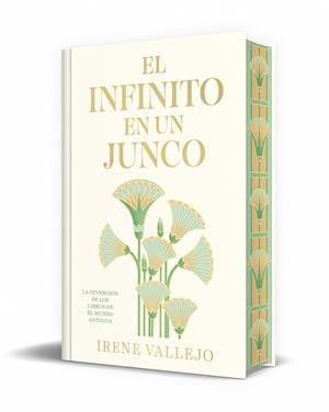 INFINITO EN UN JUNCO, EL | 9788466380546 | VALLEJO, IRENE | Llibreria Aqualata | Comprar llibres en català i castellà online | Comprar llibres Igualada
