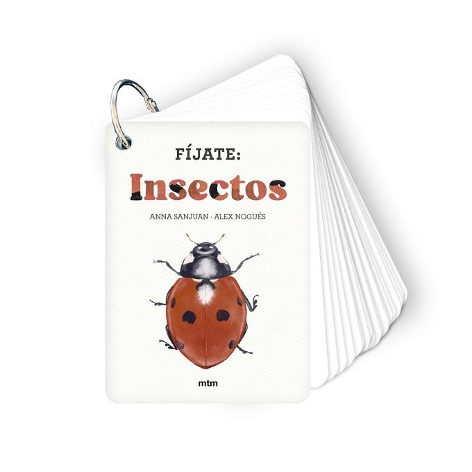 FÍJATE: INSECTOS | 9788410407183 | SANJUAN LLORENS, ANNA/NOGUÉS, ALEX | Llibreria Aqualata | Comprar libros en catalán y castellano online | Comprar libros Igualada