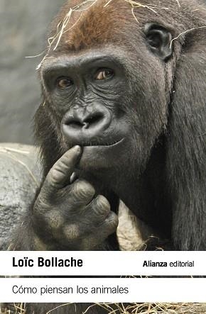 CÓMO PIENSAN LOS ANIMALES | 9788411489461 | BOLLACHE, LOÏC | Llibreria Aqualata | Comprar llibres en català i castellà online | Comprar llibres Igualada