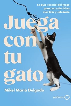 JUEGA CON TU GATO | 9788408300861 | DELGADO, MIKEL MARIA | Llibreria Aqualata | Comprar llibres en català i castellà online | Comprar llibres Igualada