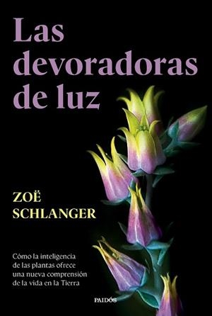 DEVORADORAS DE LUZ, LAS | 9788449343742 | SCHLANGER, ZOË | Llibreria Aqualata | Comprar libros en catalán y castellano online | Comprar libros Igualada