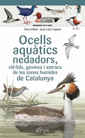 OCELLS AQUÀTICS NEDADORS, RÀL·LIDS, GAVINES I XATRACS DE LES ZONES HUMIDES DE CA | 9788413564883 | COPETE, JOSÉ LUIS | Llibreria Aqualata | Comprar libros en catalán y castellano online | Comprar libros Igualada