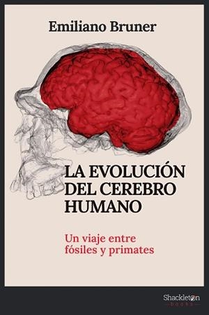 EVOLUCIÓN DEL CEREBRO HUMANO, LA | 9788413612249 | BRUNER, EMILIANO | Llibreria Aqualata | Comprar llibres en català i castellà online | Comprar llibres Igualada