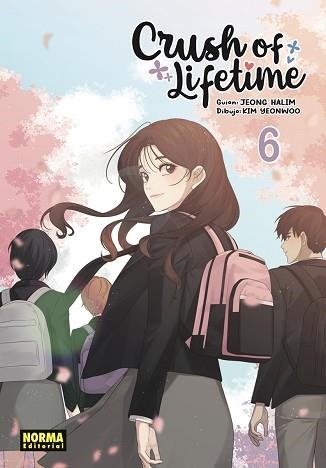 CRUSH OF LIFETIME 6 | 9788467972825 | JEONG, HALIM / KIM, YEONWOO | Llibreria Aqualata | Comprar llibres en català i castellà online | Comprar llibres Igualada