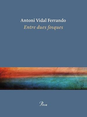 ENTRE DUES FOSQUES | 9788410488434 | VIDAL FERRANDO, ANTONI | Llibreria Aqualata | Comprar libros en catalán y castellano online | Comprar libros Igualada