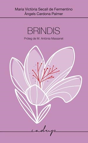 BRINDIS | 9788412991598 | SECALL DE FERMENTINO, MARIA VICTÒRIA / CARDONA PALMER, MARIA ÀNGELA | Llibreria Aqualata | Comprar libros en catalán y castellano online | Comprar libros Igualada