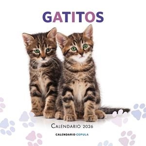 2026 CALENDARIO GATITOS | 9788448044909 | AA. VV. | Llibreria Aqualata | Comprar llibres en català i castellà online | Comprar llibres Igualada