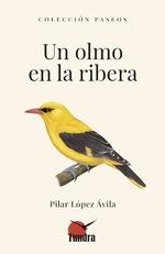 UN OLMO EN LA RIBERA | 9788419624987 | AA.VV | Llibreria Aqualata | Comprar libros en catalán y castellano online | Comprar libros Igualada