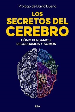 SECRETOS DEL CEREBRO, LOS | 9788410981249 | Llibreria Aqualata | Comprar llibres en català i castellà online | Comprar llibres Igualada