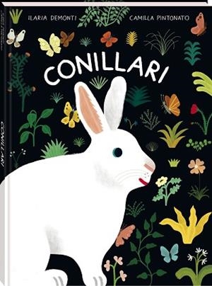 CONILLARI | 9788419913760 | DEMONTI, ILARIA | Llibreria Aqualata | Comprar llibres en català i castellà online | Comprar llibres Igualada