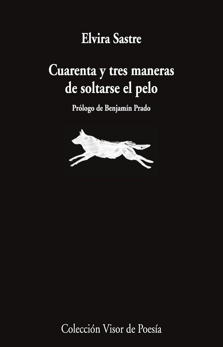 CUARENTA Y TRES MANERAS DE SOLTARSE EL PELO | 9791387745868 | SASTRE, ELVIRA | Llibreria Aqualata | Comprar libros en catalán y castellano online | Comprar libros Igualada