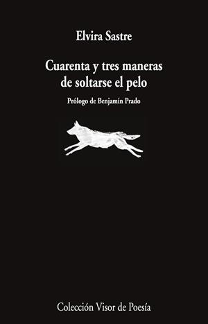 CUARENTA Y TRES MANERAS DE SOLTARSE EL PELO | 9791387745868 | SASTRE, ELVIRA | Llibreria Aqualata | Comprar libros en catalán y castellano online | Comprar libros Igualada