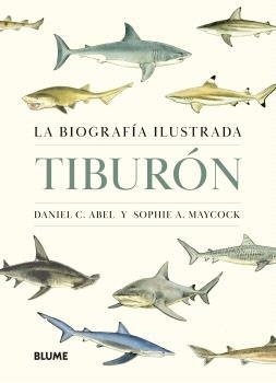TIBURÓN | 9788410469853 | ABEL, DANIEL C. / MAYCOCK, SOPHIE A. | Llibreria Aqualata | Comprar libros en catalán y castellano online | Comprar libros Igualada